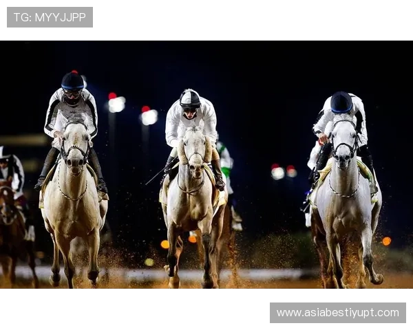 浩瀚体育游戏带你领略全球顶级体育赛事的真实体验与精彩瞬间