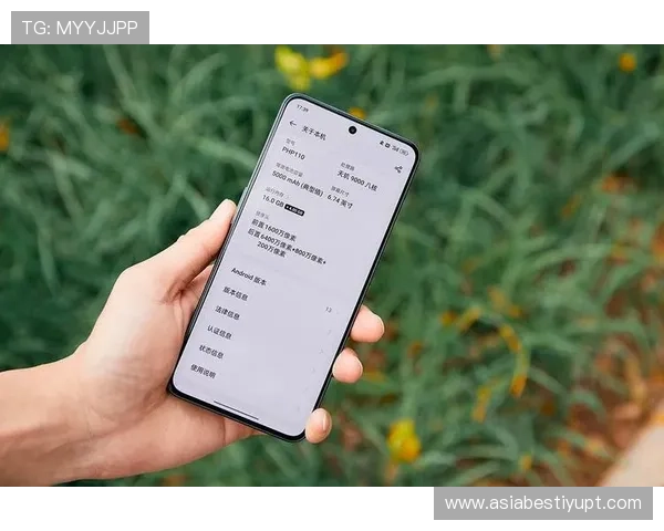 欧博数字站如何利用大数据优化内容推荐提升用户留存率